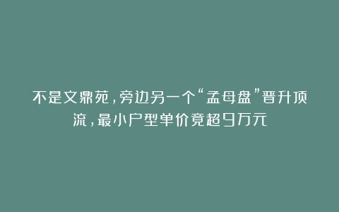 不是文鼎苑，旁边另一个“孟母盘”晋升顶流，最小户型单价竟超9万元