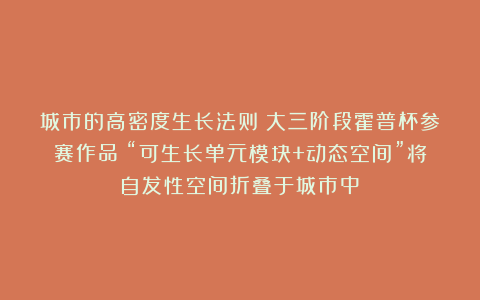 城市的高密度生长法则！大三阶段霍普杯参赛作品！“可生长单元模块+动态空间”将自发性空间折叠于城市中！