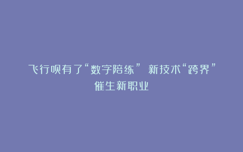 飞行员有了“数字陪练” 新技术“跨界”催生新职业