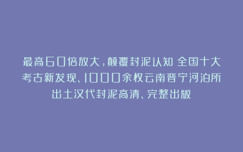最高60倍放大，颠覆封泥认知！全国十大考古新发现、1000余枚云南晋宁河泊所出土汉代封泥高清、完整出版！