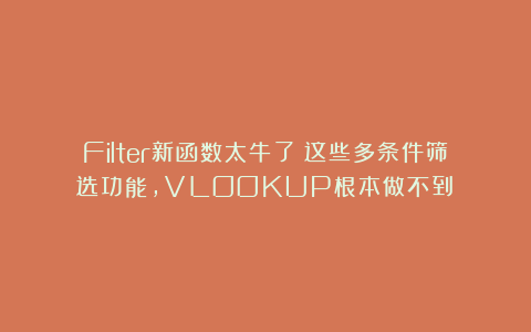 Filter新函数太牛了！这些多条件筛选功能，VLOOKUP根本做不到！