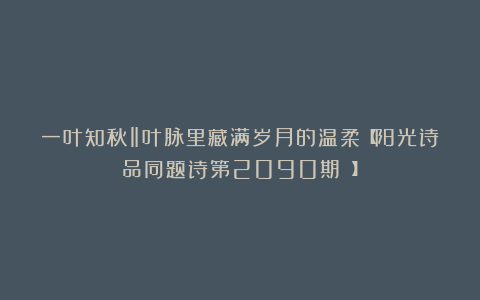 一叶知秋‖叶脉里藏满岁月的温柔【阳光诗品同题诗第2090期 】