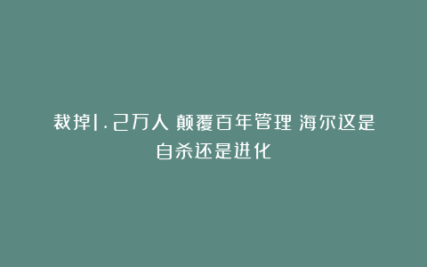 裁掉1.2万人！颠覆百年管理！海尔这是自杀还是进化？