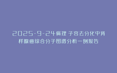 2025-9-24病理：子宫去分化中肾样腺癌综合分子图谱分析一例报告