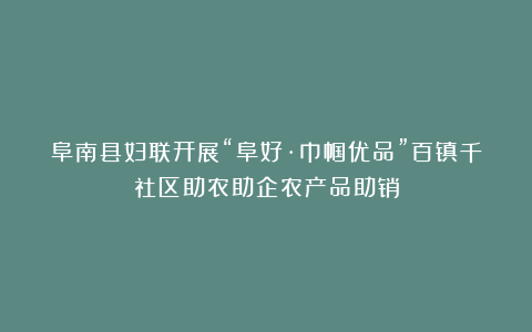 阜南县妇联开展“阜好·巾帼优品”百镇千社区助农助企农产品助销