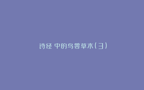 《诗经》中的鸟兽草木(3)