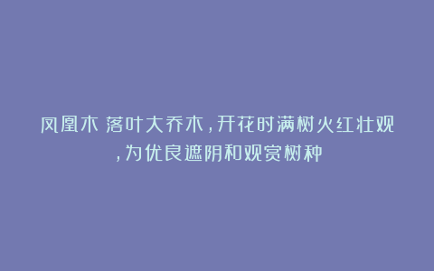 凤凰木：落叶大乔木，开花时满树火红壮观，为优良遮阴和观赏树种