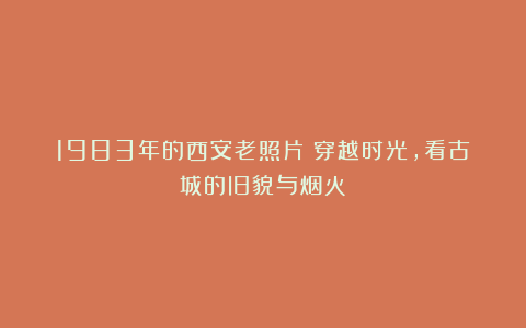 1983年的西安老照片：穿越时光，看古城的旧貌与烟火