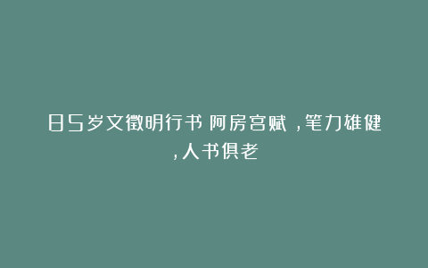 85岁文徵明行书《阿房宫赋》，笔力雄健，人书俱老