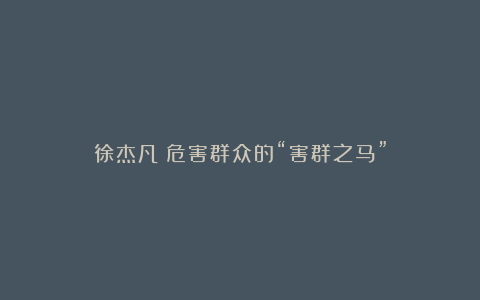 徐杰凡：危害群众的“害群之马”