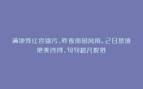 满地残红宫锦污，昨夜南园风雨。28意境绝美诗词，句句超凡脱俗