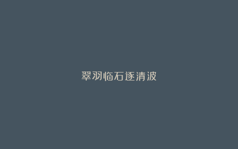 翠羽临石逐清波
