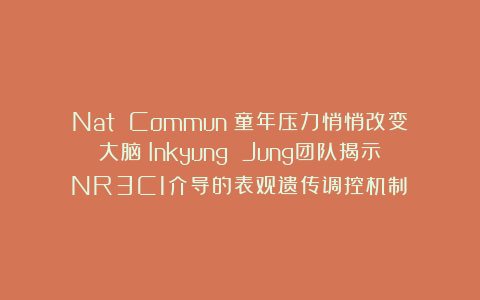 Nat Commun：童年压力悄悄改变大脑？Inkyung Jung团队揭示NR3C1介导的表观遗传调控机制​