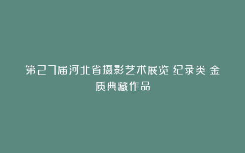 第27届河北省摄影艺术展览｜纪录类｜金质典藏作品