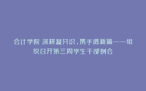 会计学院丨深耕凝共识，携手谱新篇——组织召开第三周学生干部例会