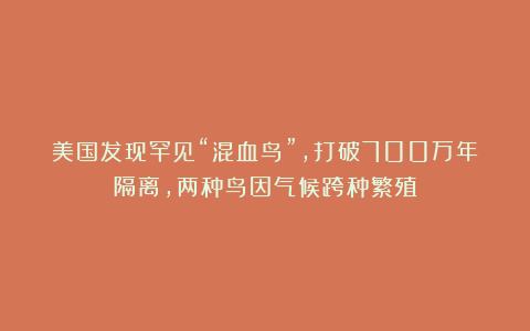 美国发现罕见“混血鸟”，打破700万年隔离，两种鸟因气候跨种繁殖