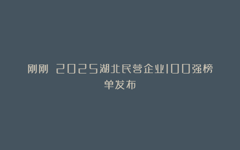 刚刚！​2025湖北民营企业100强榜单发布