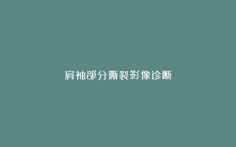 肩袖部分撕裂影像诊断