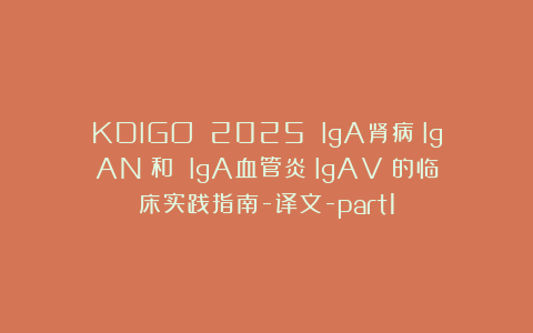 KDIGO 2025 IgA肾病（IgAN）和 IgA血管炎（IgAV）的临床实践指南-译文-part1