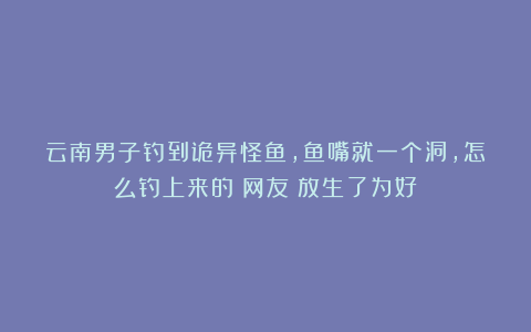 云南男子钓到诡异怪鱼，鱼嘴就一个洞，怎么钓上来的？网友：放生了为好！