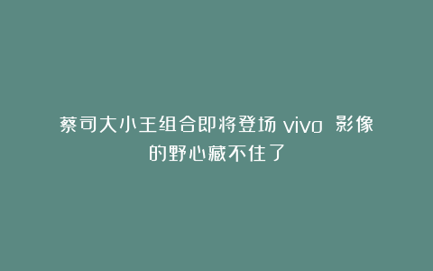 蔡司大小王组合即将登场！vivo 影像的野心藏不住了