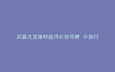 武嘉九支排村级河长宣传牌 小洛纣