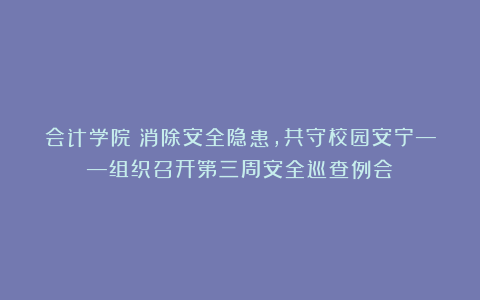 会计学院丨消除安全隐患，共守校园安宁——组织召开第三周安全巡查例会