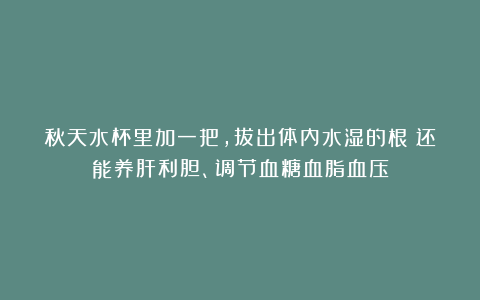 秋天水杯里加一把，拔出体内水湿的根！还能养肝利胆、调节血糖血脂血压
