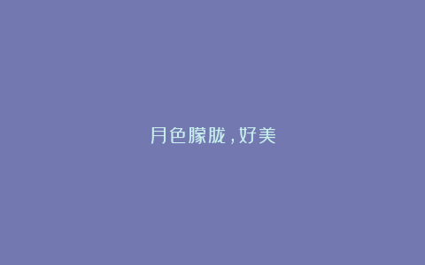 月色朦胧，好美