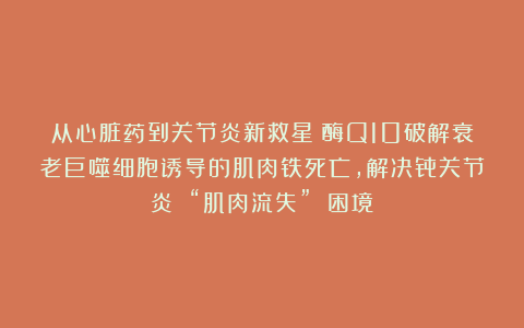 从心脏药到关节炎新救星！酶Q10破解衰老巨噬细胞诱导的肌肉铁死亡，解决骨关节炎 “肌肉流失” 困境