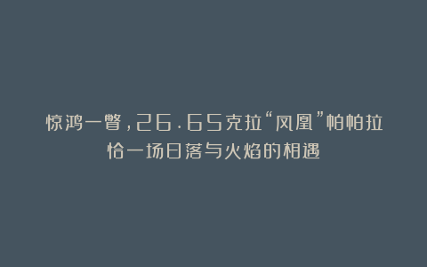 惊鸿一瞥，26.65克拉“凤凰”帕帕拉恰一场日落与火焰的相遇