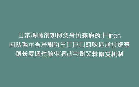 日常调味剂如何变身抗癫痫药？Hines团队揭示香芹酮衍生CBD对映体通过烷基链长度调控脑电活动与树突棘修复机制​