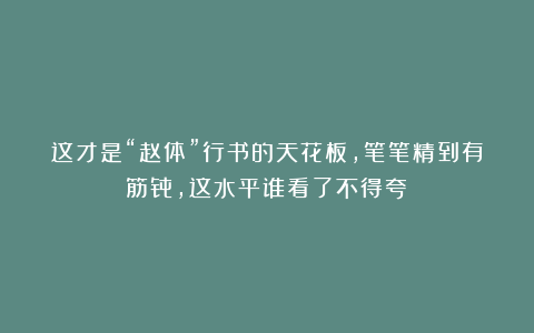 这才是“赵体”行书的天花板，笔笔精到有筋骨，这水平谁看了不得夸！