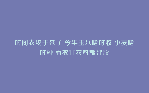 时间表终于来了！今年玉米啥时收？小麦啥时种？看农业农村部建议