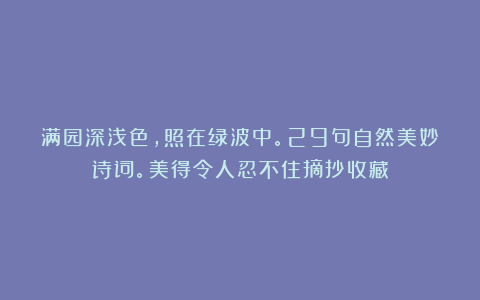 满园深浅色,照在绿波中。29句自然美妙诗词。美得令人忍不住摘抄收藏