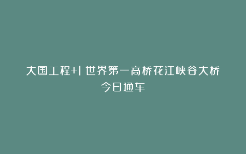 大国工程+1！世界第一高桥花江峡谷大桥今日通车