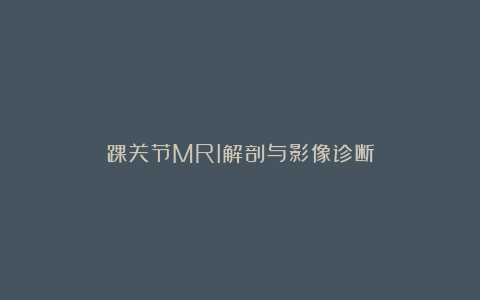 踝关节MRI解剖与影像诊断