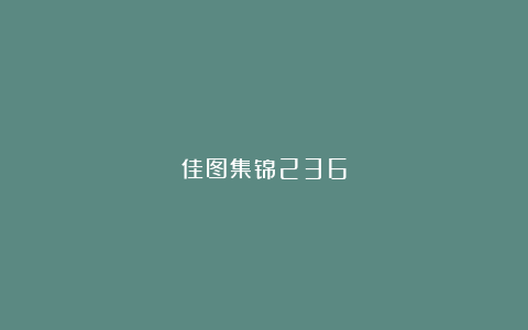 佳图集锦236