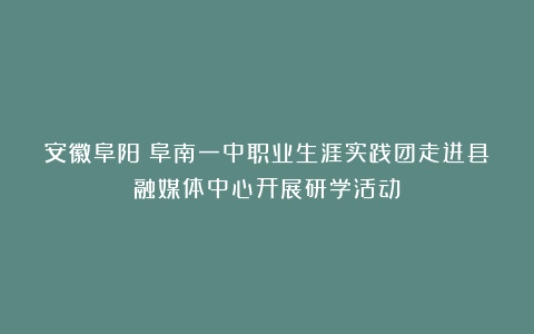 安徽阜阳：阜南一中职业生涯实践团走进县融媒体中心开展研学活动