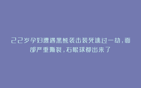 22岁孕妇遭遇黑熊袭击装死逃过一劫，面部严重撕裂，右眼球都出来了！