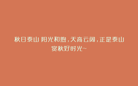秋日泰山|阳光和煦,天高云阔,正是泰山赏秋好时光~