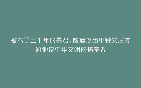 被骂了三千年的暴君，殷墟挖出甲骨文后才知他是中华文明的拓荒者