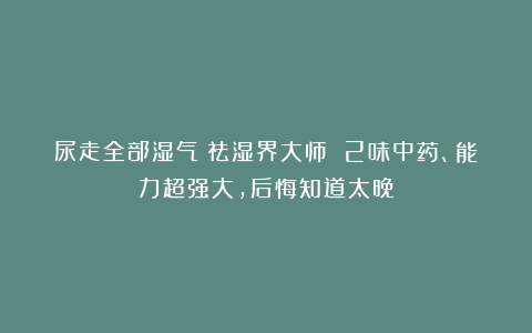 尿走全部湿气！祛湿界大师 2味中药、能力超强大，后悔知道太晚