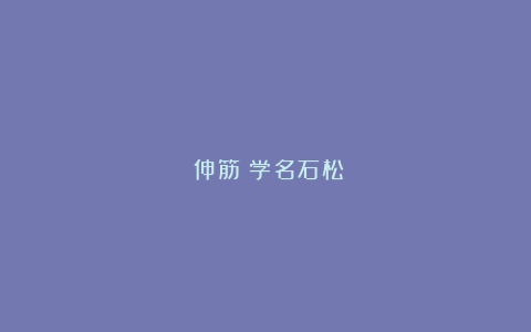 《伸筋》学名石松
