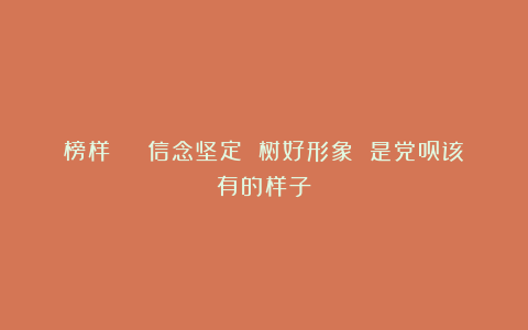 榜样 | 信念坚定 树好形象 是党员该有的样子