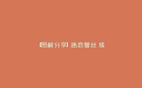 【图解分享】迷恋蕾丝（续）