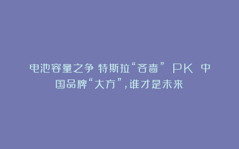 电池容量之争：特斯拉“吝啬” PK 中国品牌“大方”，谁才是未来？