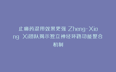 止痛药混用效果更强？Zheng-Xiong Xi团队揭示独立神经环路功能整合机制