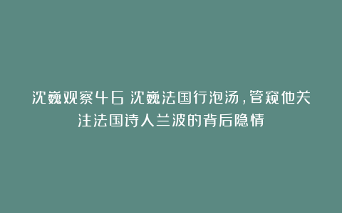 沈巍观察46：沈巍法国行泡汤，管窥他关注法国诗人兰波的背后隐情