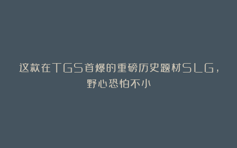 这款在TGS首爆的重磅历史题材SLG，野心恐怕不小
